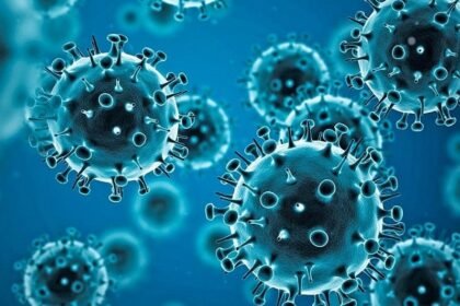 coronavirus 2.tmb 1024v
