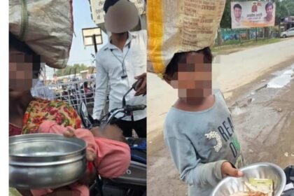 GridArt 20251117 214232302 3