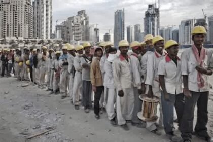 Screenshot 2025 12 21 15 33 25 58 96b26121e545231a3c569311a54cda96