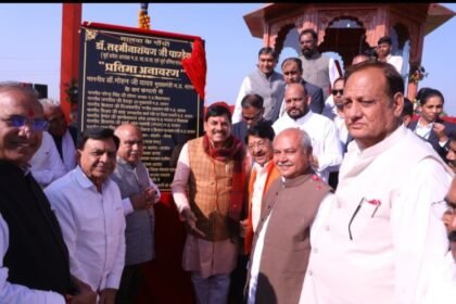 image 750x 695104d625d0b