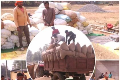 resized compressed 1767711249112