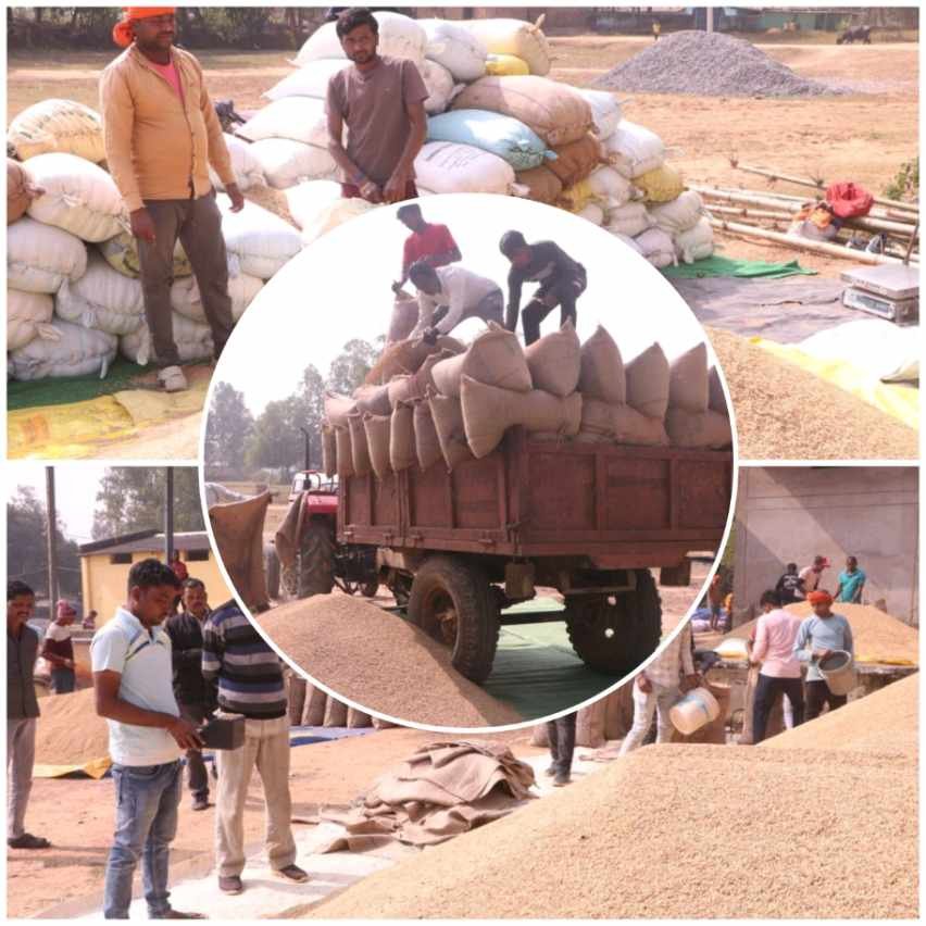 resized compressed 1767711249112