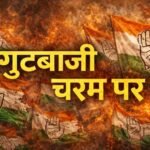 resized compressed 1771055721900