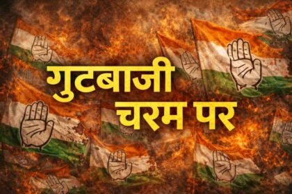 resized compressed 1771055721900