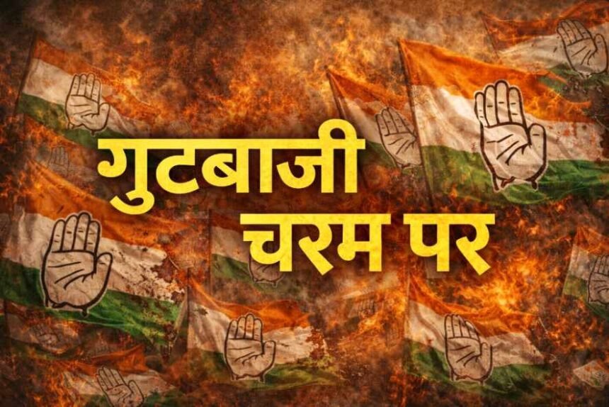 resized compressed 1771055721900