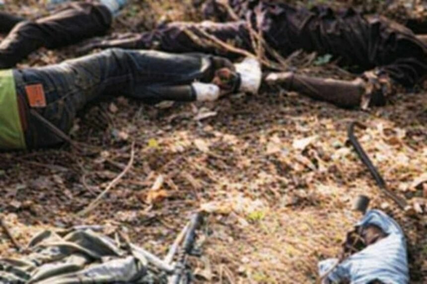 resized compressed 1771345260278