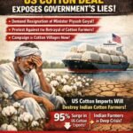 resized compressed 1771760698264