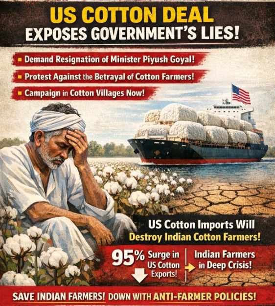 resized compressed 1771760698264