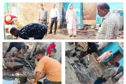 InCollage 20260313 132803784