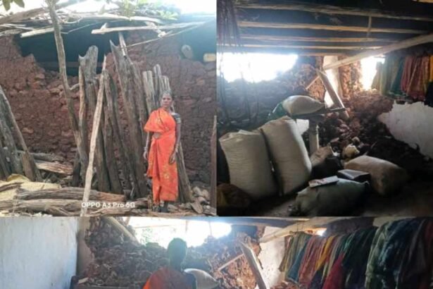 resized compressed 1773244473398