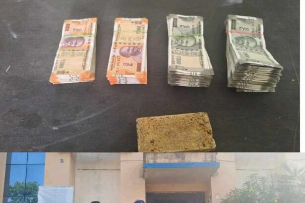 resized compressed 1774935438691