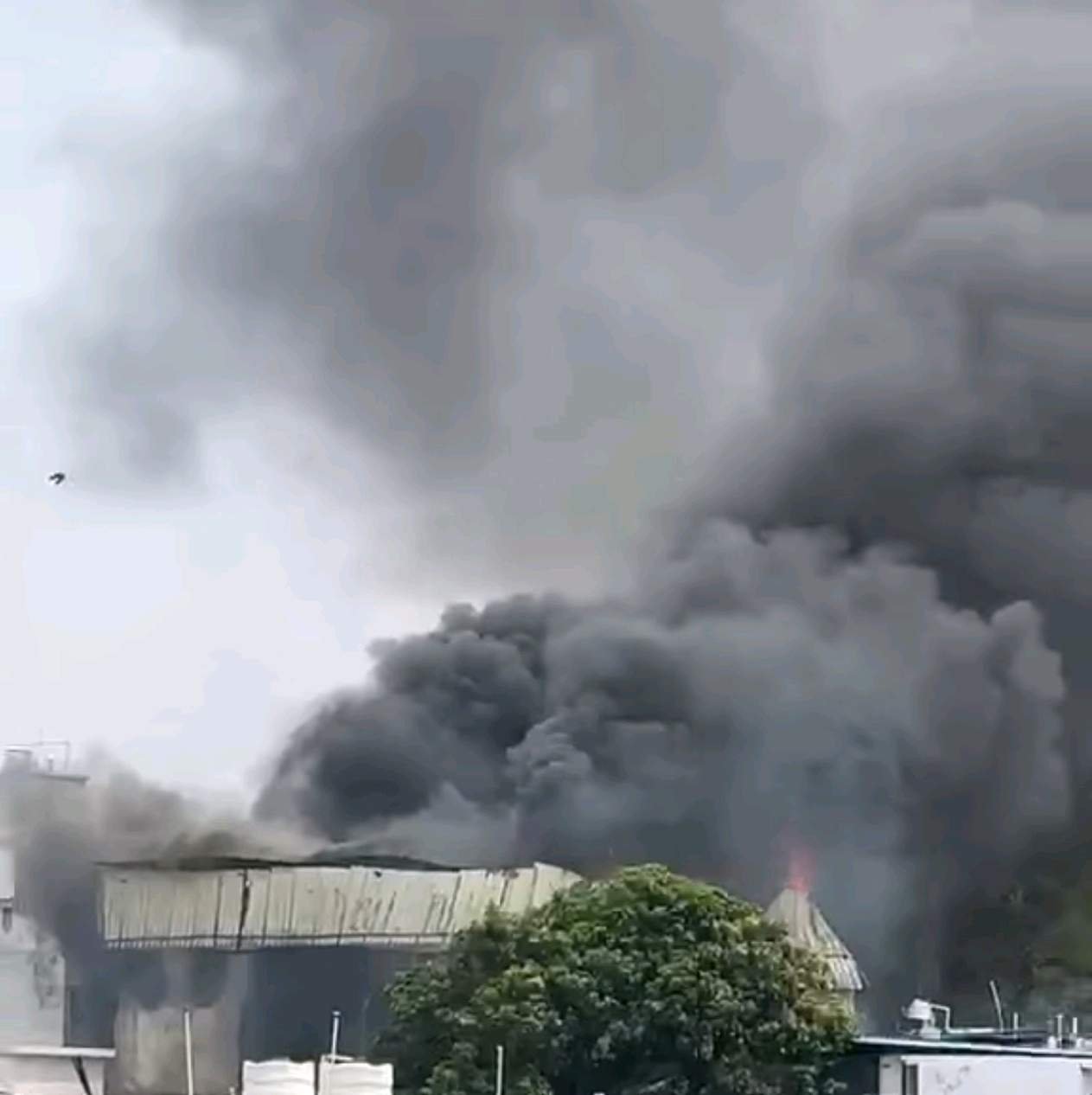 resized compressed 1777042663011